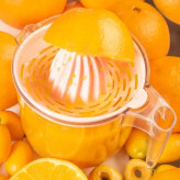 آبمیوه گیری دستی دنزی مدل سارینا