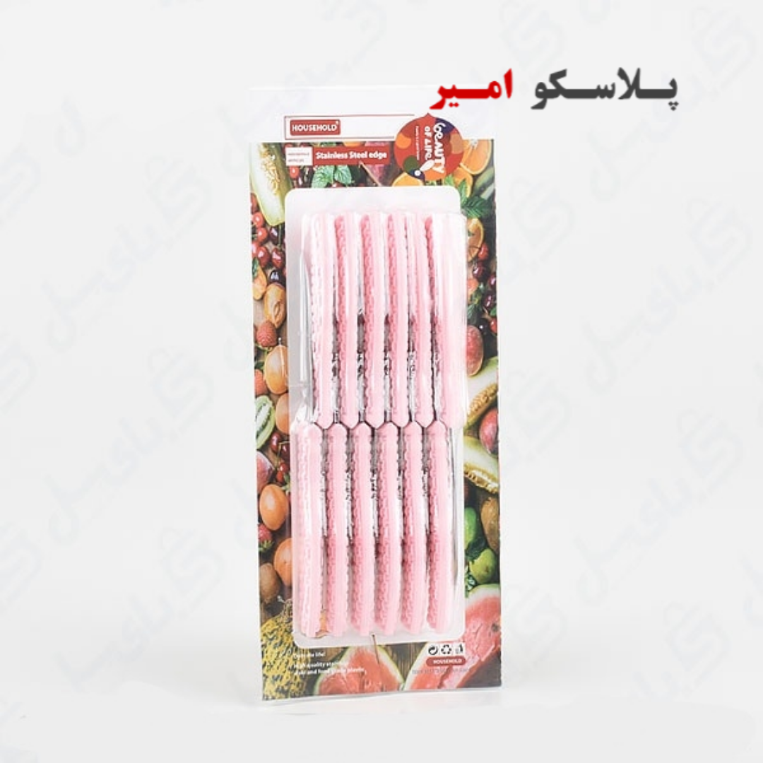 چاقو میوه خوری 12 عددی ابتکار