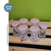 نمکپاش کارینا دلسا ۶ عددی