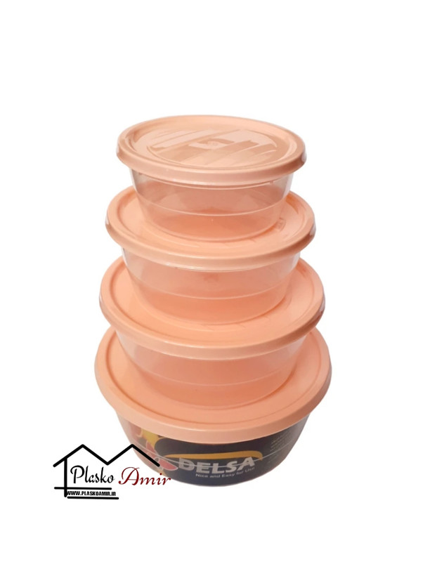 سرویس فریزری مدل گرد 4 تکه دلسا