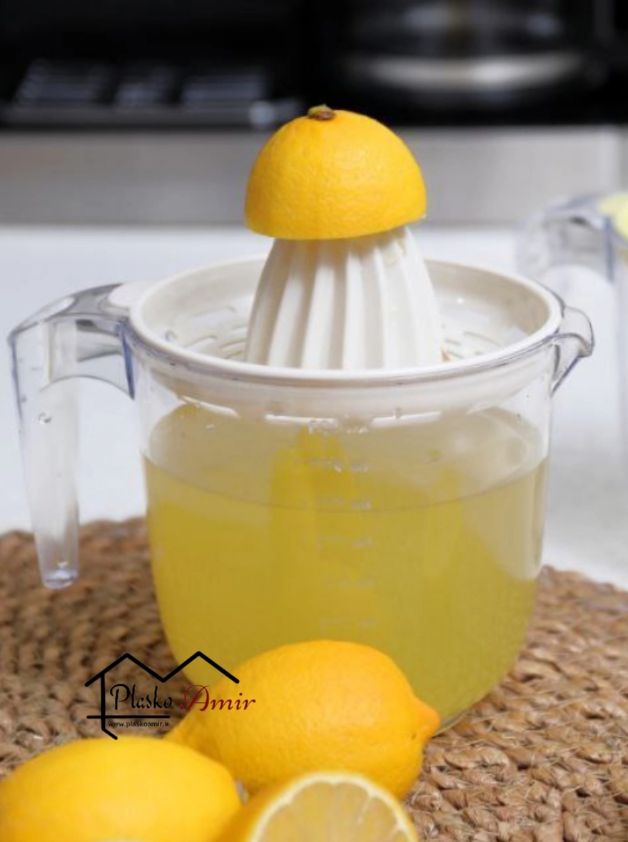 آبمیوه گیری دستی دنزی مدل سارینا