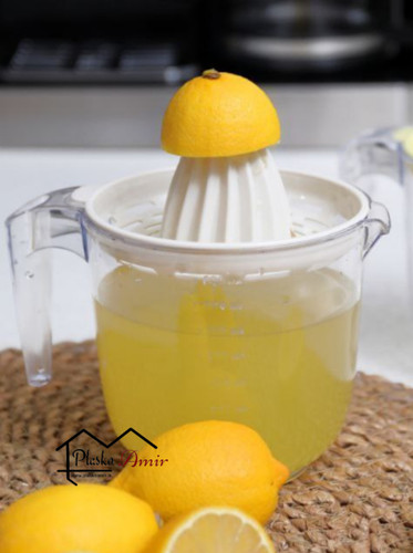 آبمیوه گیری دستی دنزی مدل سارینا