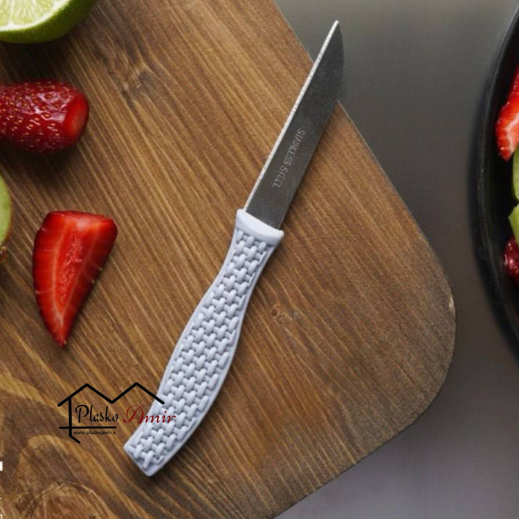چاقو میوه خوری 12 عددی ابتکار