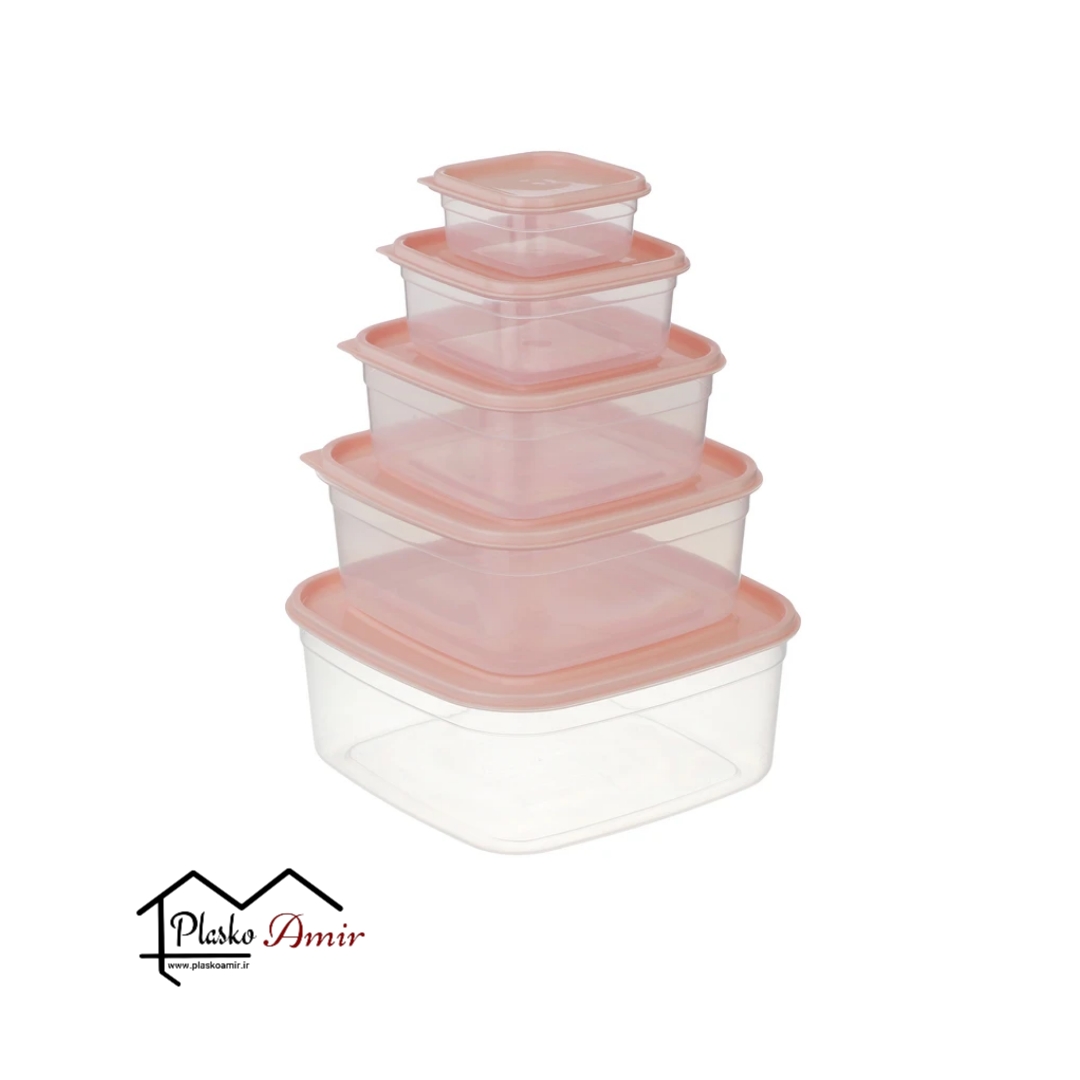 ظرف نگهدارنده بیتا بسته 5 عددی